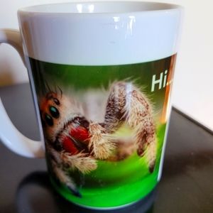 Jumping Spider Mug